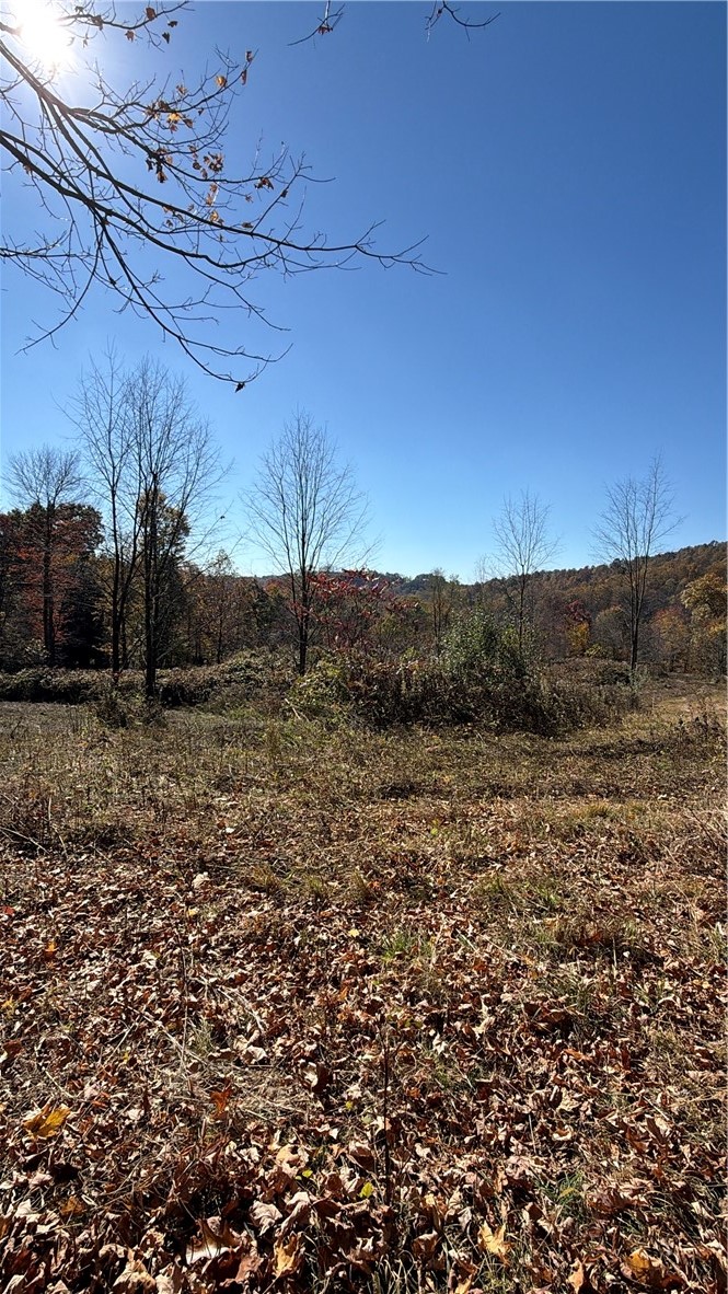 00 Wida Rd — photo 8