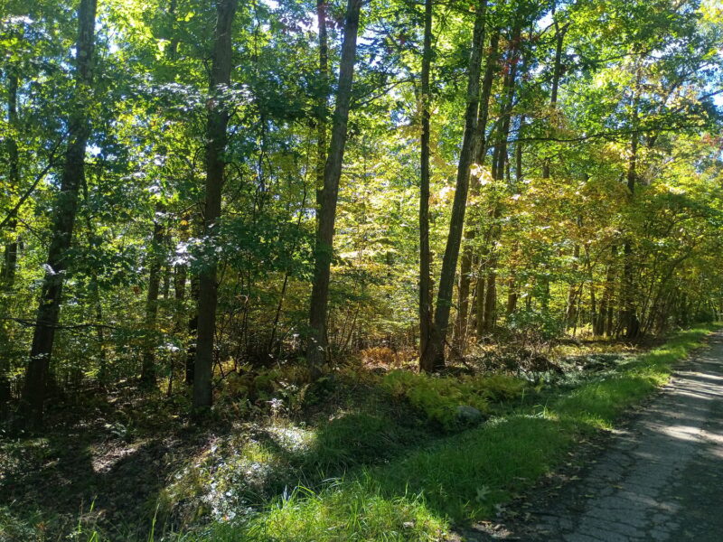 0 Jefferson Street — photo 2