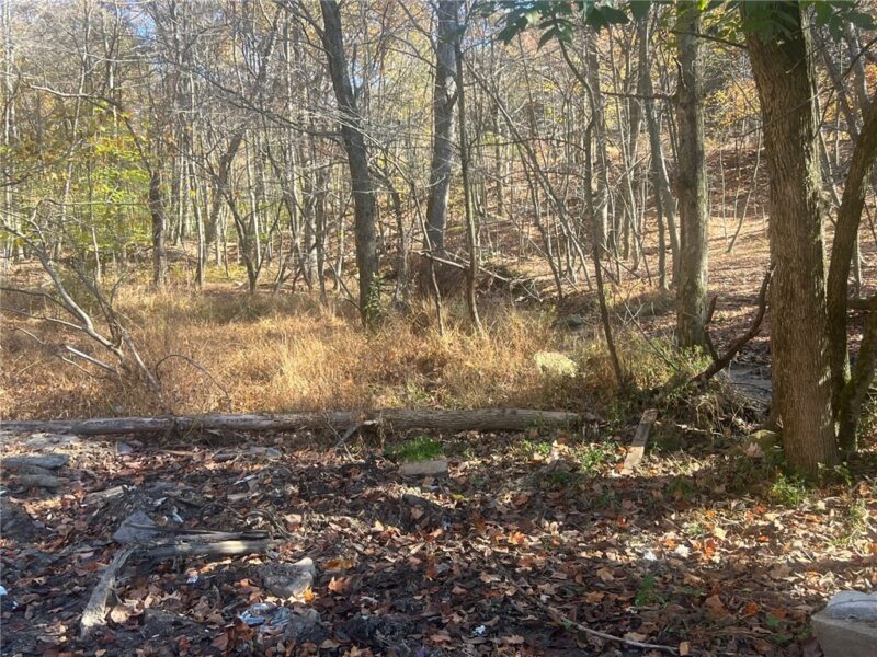 987 Dilltown Heights Rd — photo 4