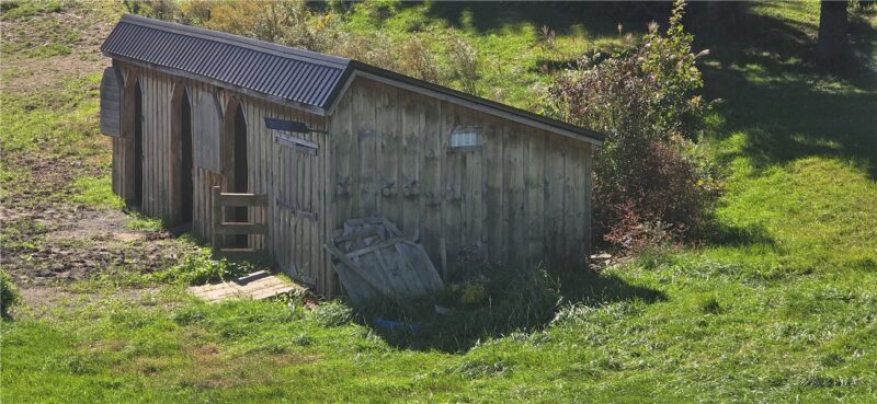 176 Pansy Ringgold Rd — photo 5