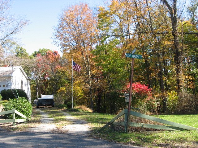 539 New Market Dr — photo 4