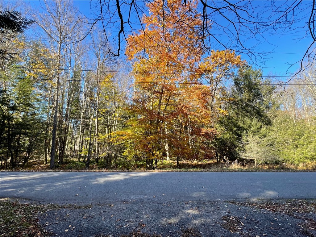 Lot 254 Clear Run Road - Peninsula Estates — photo 1