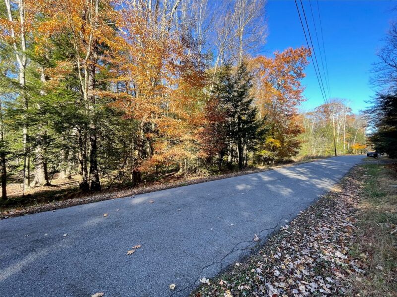 Lot 254 Clear Run Road - Peninsula Estates — photo 2