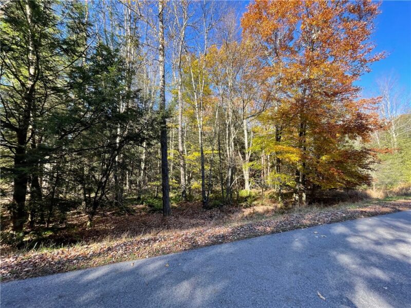 Lot 254 Clear Run Road - Peninsula Estates — photo 3