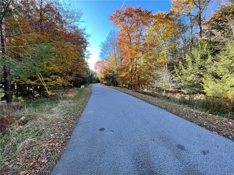 Lot 254 Clear Run Road - Peninsula Estates — photo 4