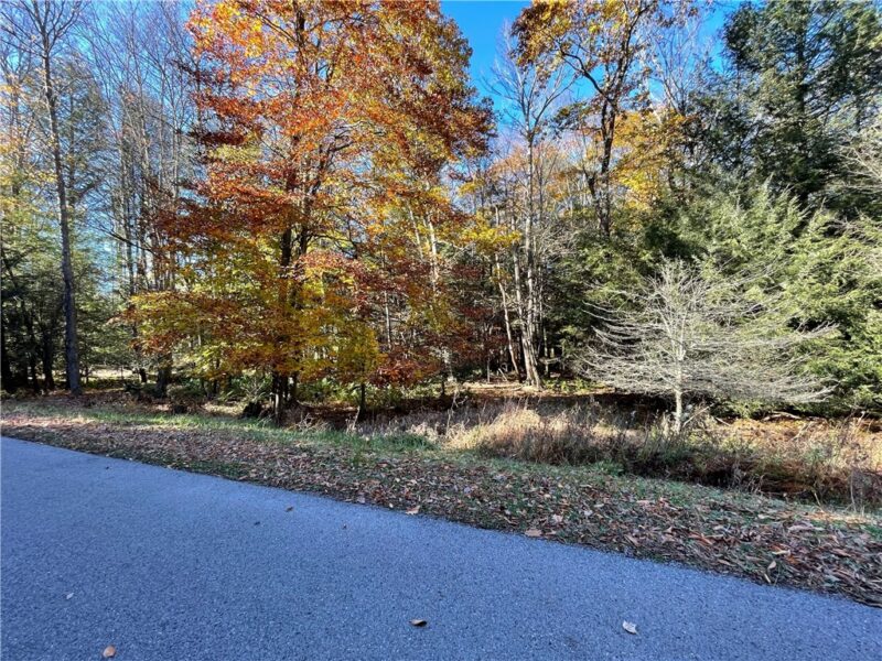 Lot 254 Clear Run Road - Peninsula Estates — photo 5