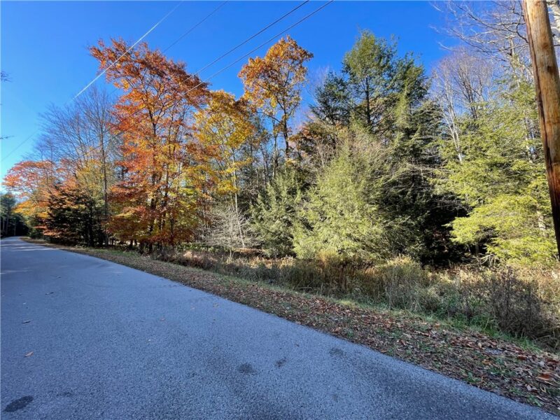 Lot 254 Clear Run Road - Peninsula Estates — photo 6