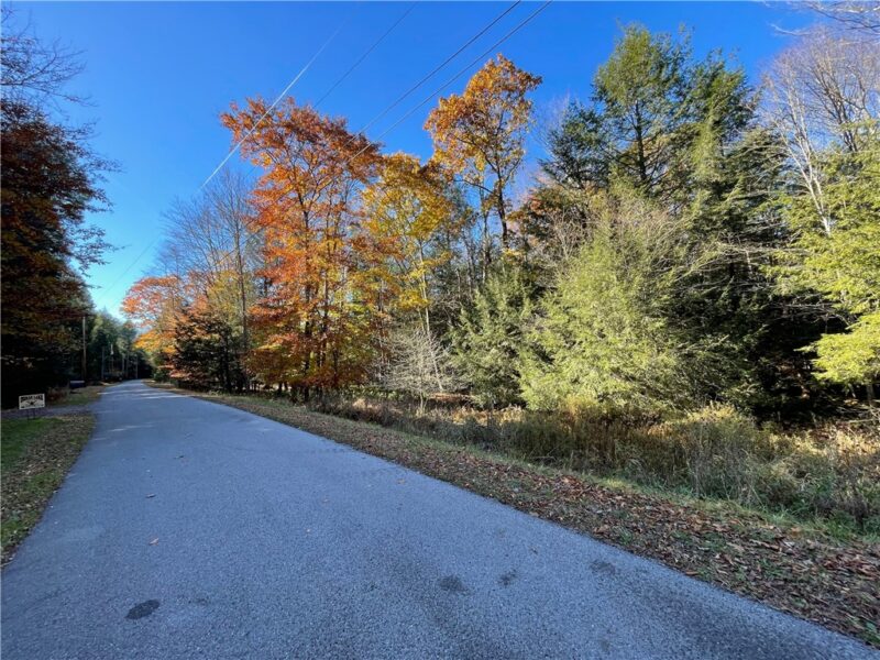 Lot 254 Clear Run Road - Peninsula Estates — photo 7