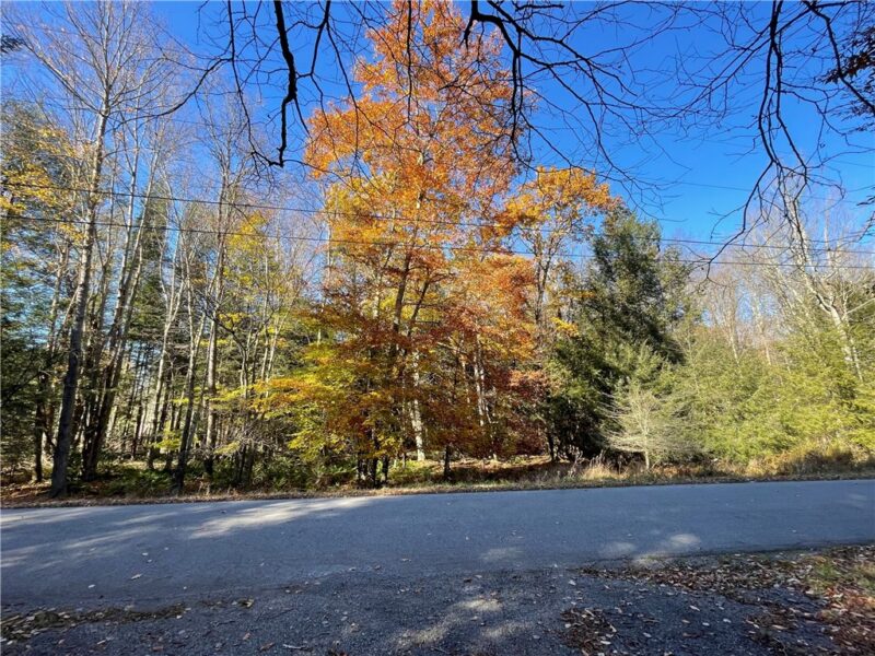 Lot 254 Clear Run Road - Peninsula Estates — photo 8