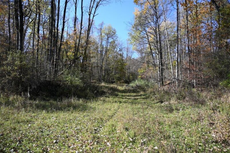 000 N Beaver Center Road — photo 3