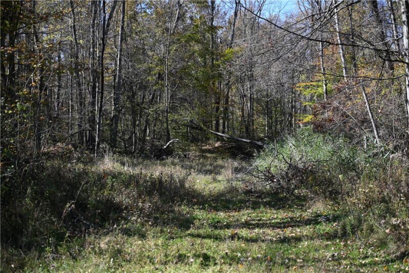 000 N Beaver Center Road — photo 4