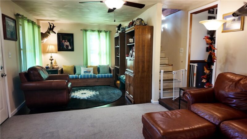 1243 Franklin Rd — photo 8