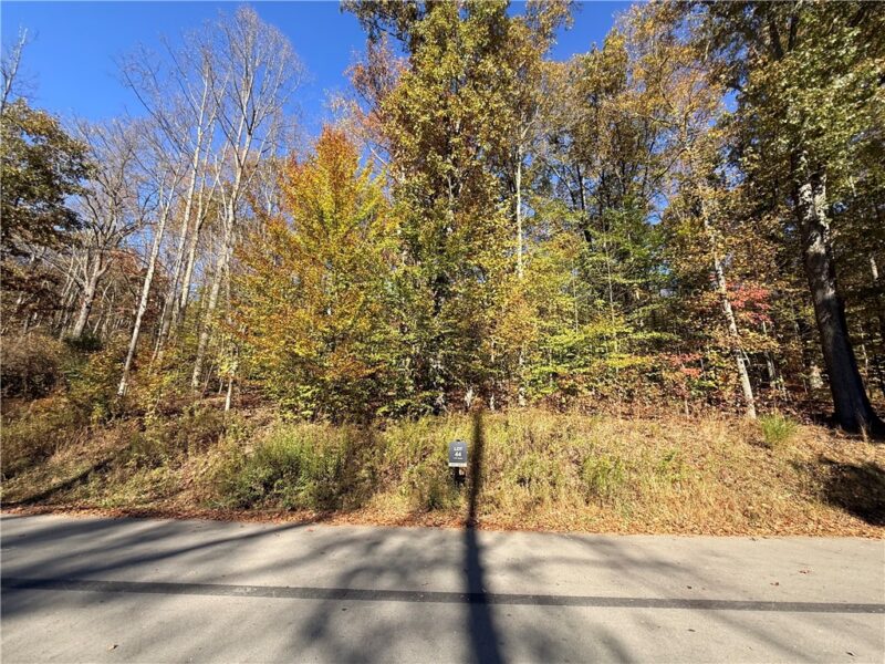 Lot 44 Shady Shores Dr. — photo 2