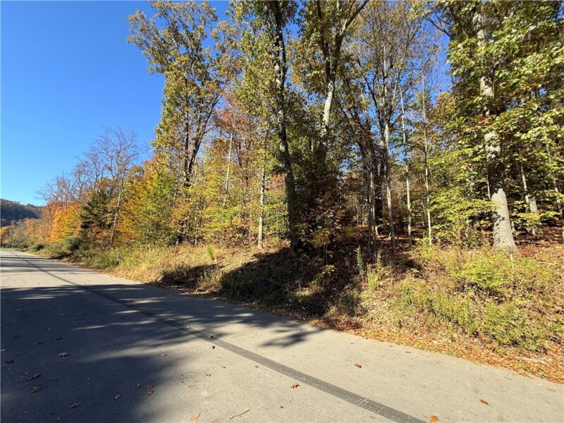 Lot 44 Shady Shores Dr. — photo 3