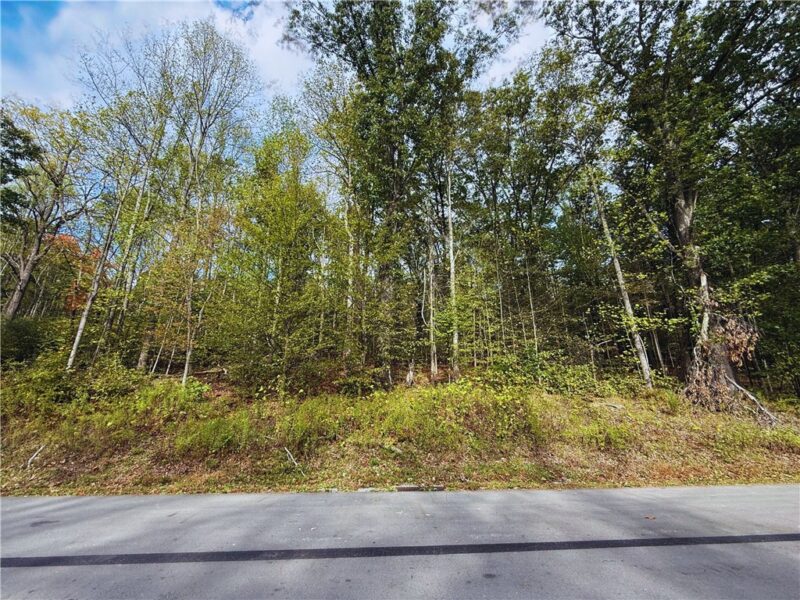 Lot 44 Shady Shores Dr. — photo 7
