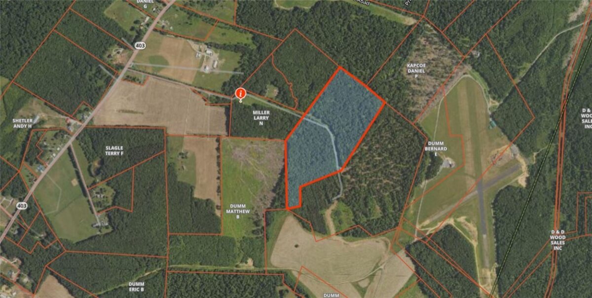 50 Acres along Bird Lane — photo 1