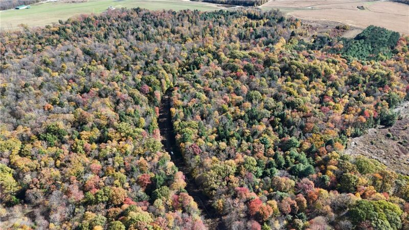 50 Acres along Bird Lane — photo 3