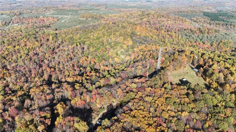 76 Acres along Braughler Road — photo 5