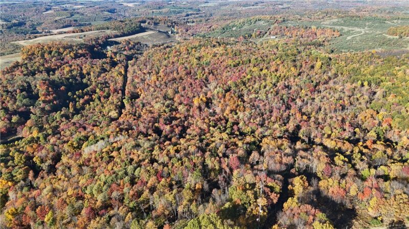 76 Acres along Braughler Road — photo 6