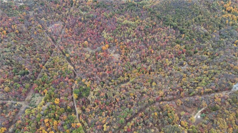 76 Acres along Braughler Road — photo 8
