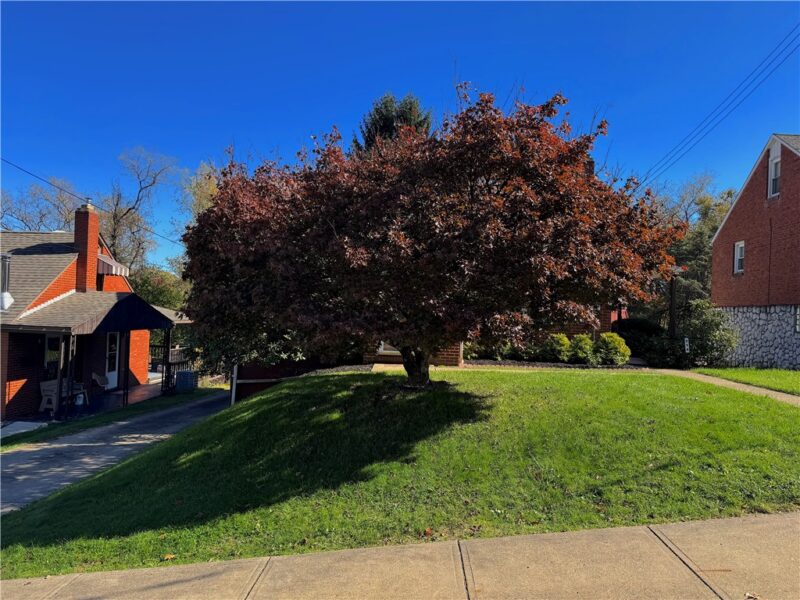 214 Maryellen Dr — photo 2