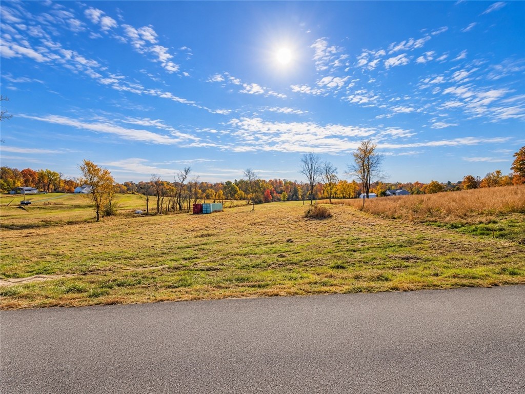 0 Tin Can Hollow Rd — photo 1