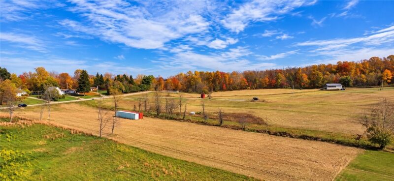 0 Tin Can Hollow Rd — photo 4