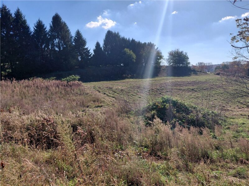 210 Pittsburgh Grade Road — photo 2