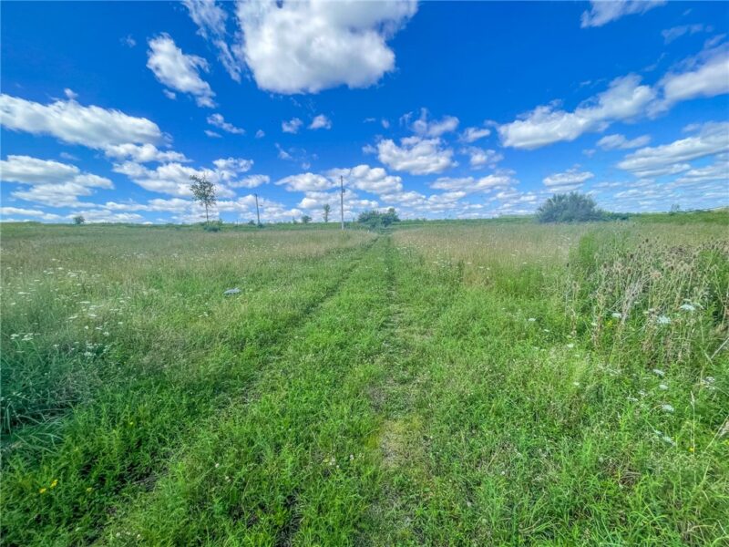 295 Stoughton Rd — photo 4