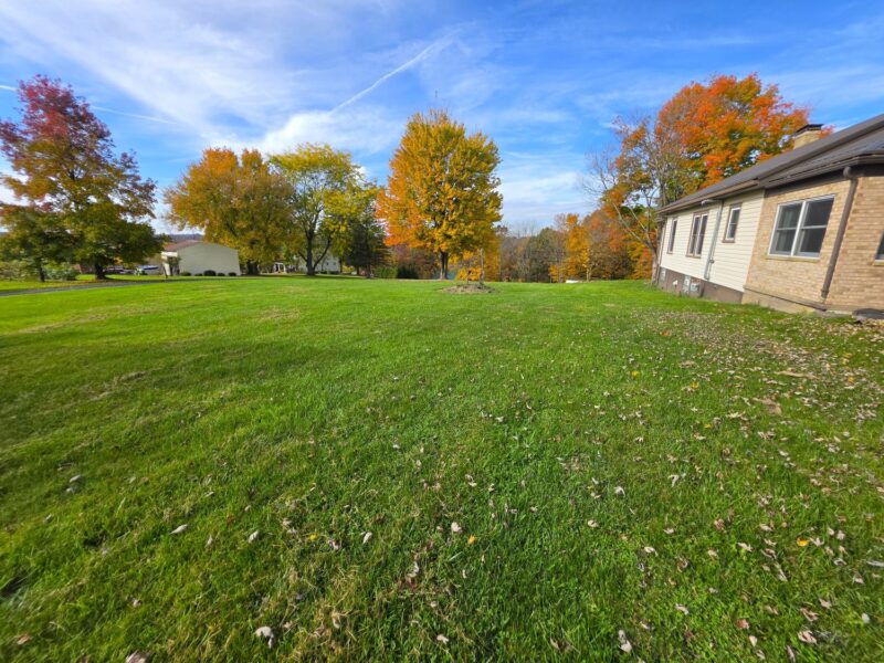 154 E Buffalo Church Road — photo 6