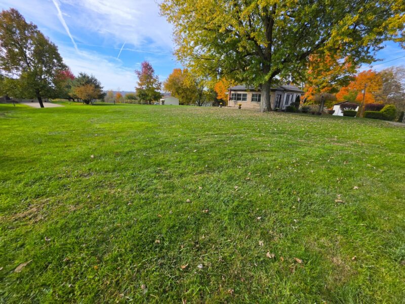 154 E Buffalo Church Road — photo 8