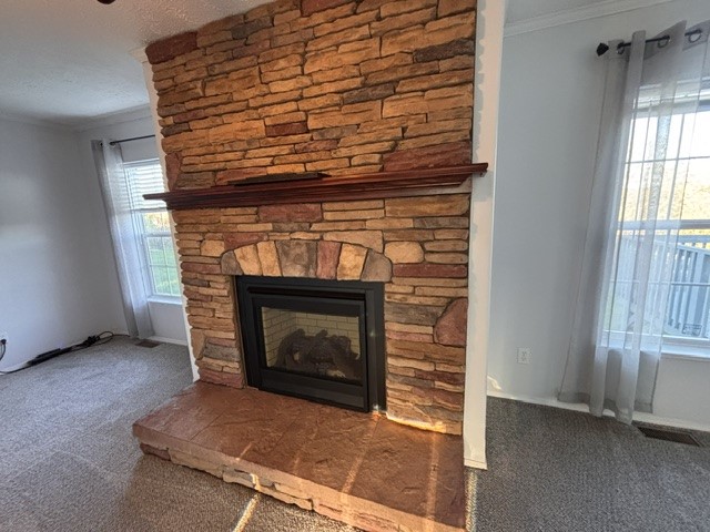 455 Blue Jay Ln — photo 5